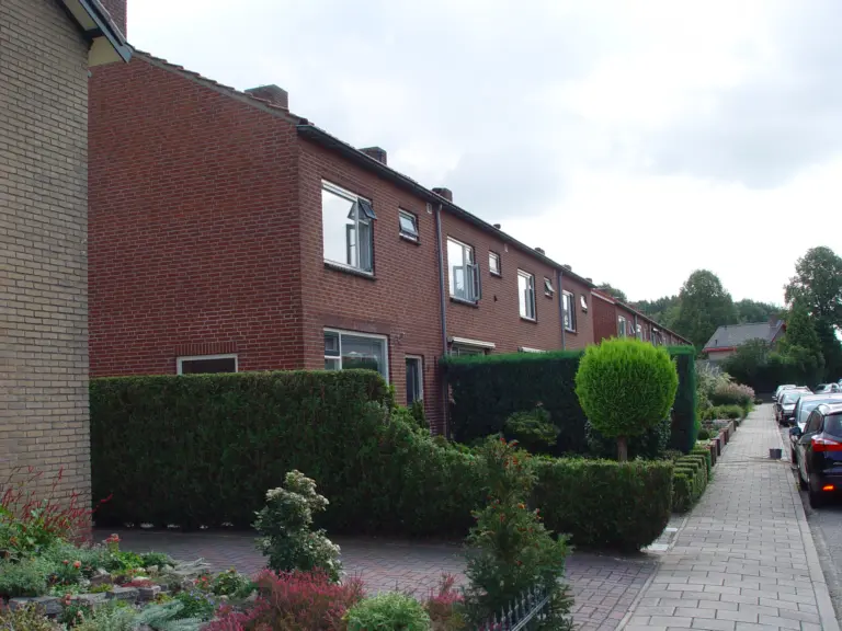Renovatie 41 woningen Bergh