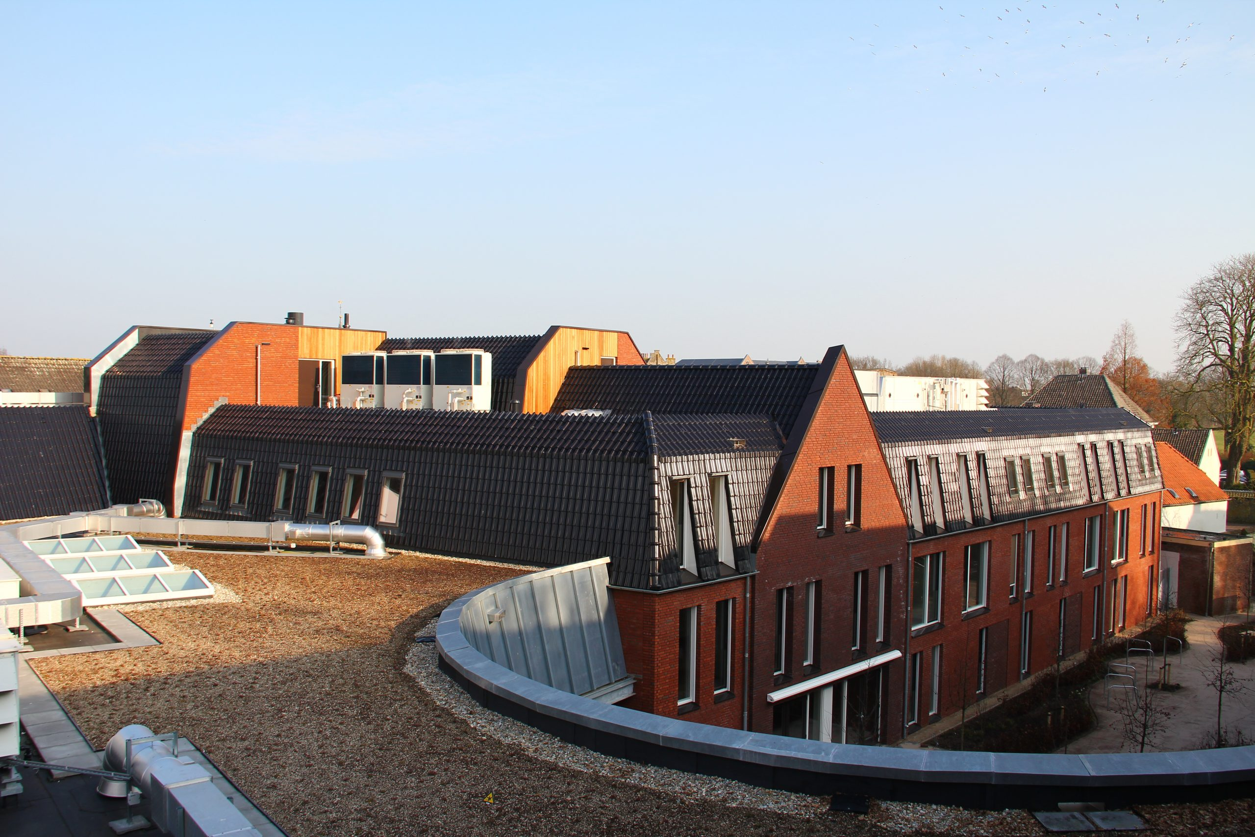 Gertrudis ‘s-Heerenberg Gertrudis 's-Heerenberg