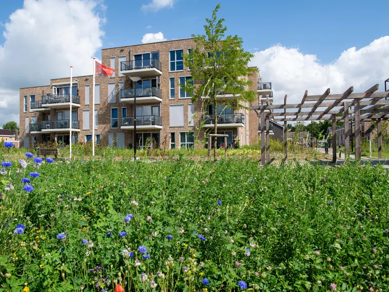 Van kleinschalig complex tot stadsblok